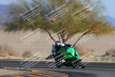 media/Feb-04-2023-SoCal Trackdays (Sat) [[8a776bf2c3]]/Turn 4 (Tree of Life 2pm)/